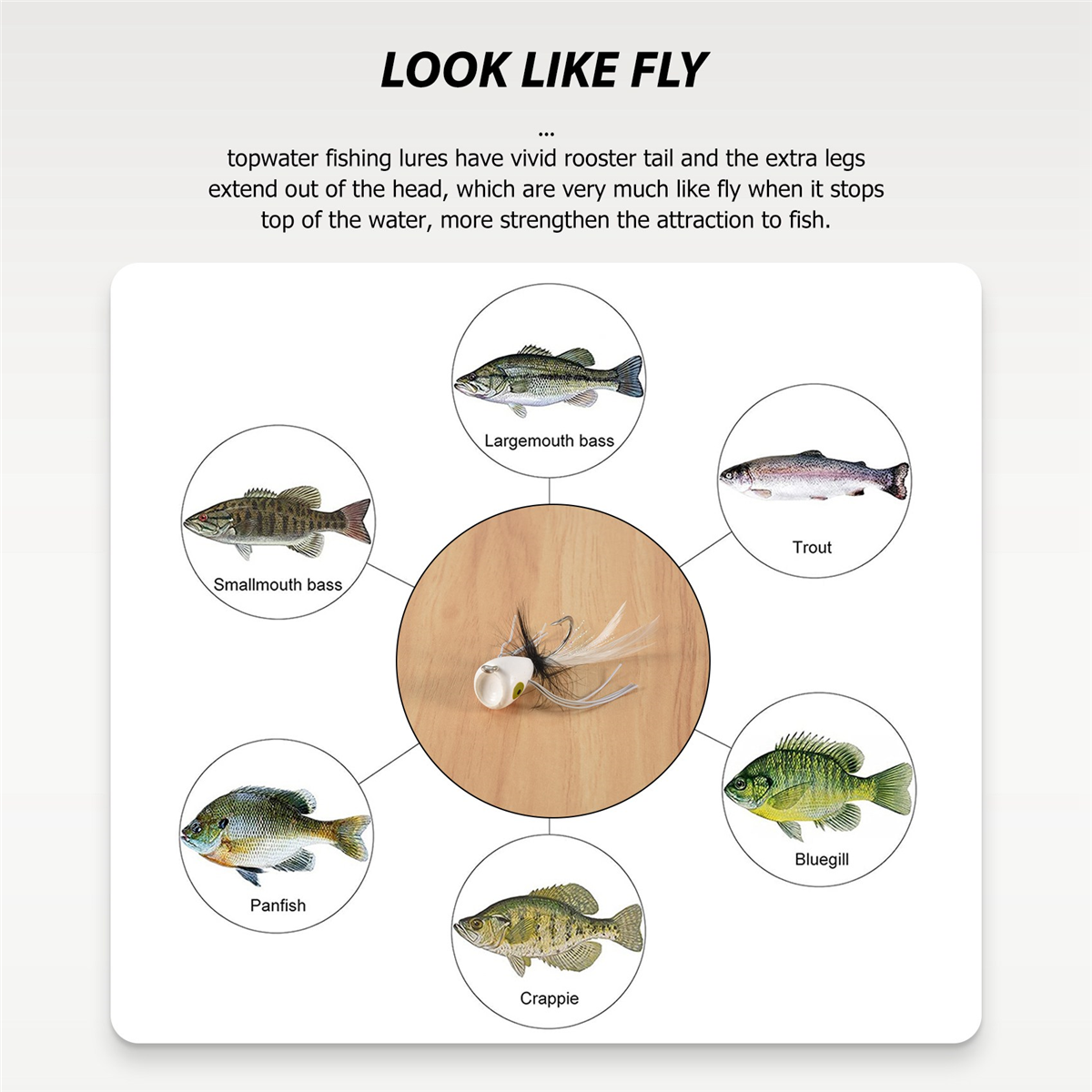 10PCS Fly Fishing Poppers,Topw - Fishing Lure Popper recensione e prezzo